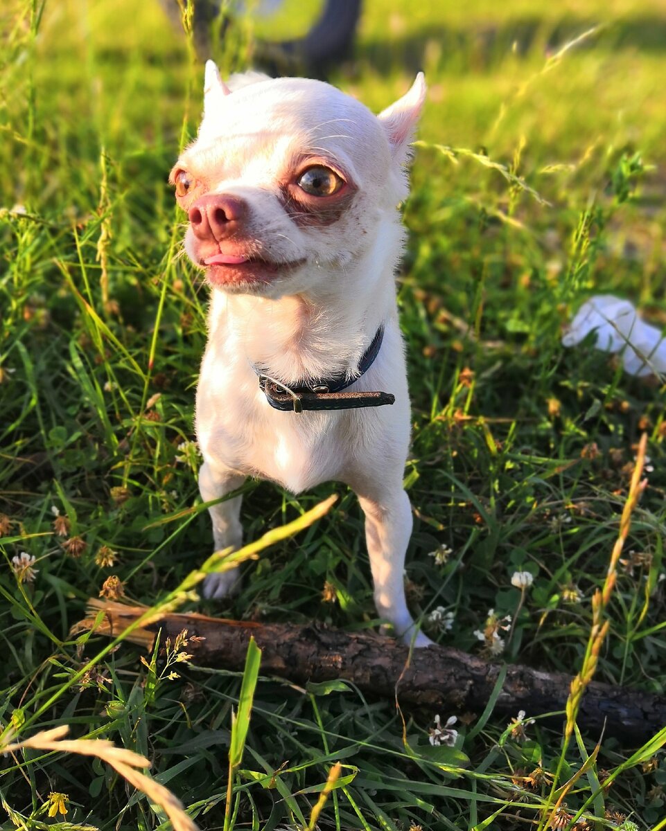 Все фото из инстаграма @kub_rybik 