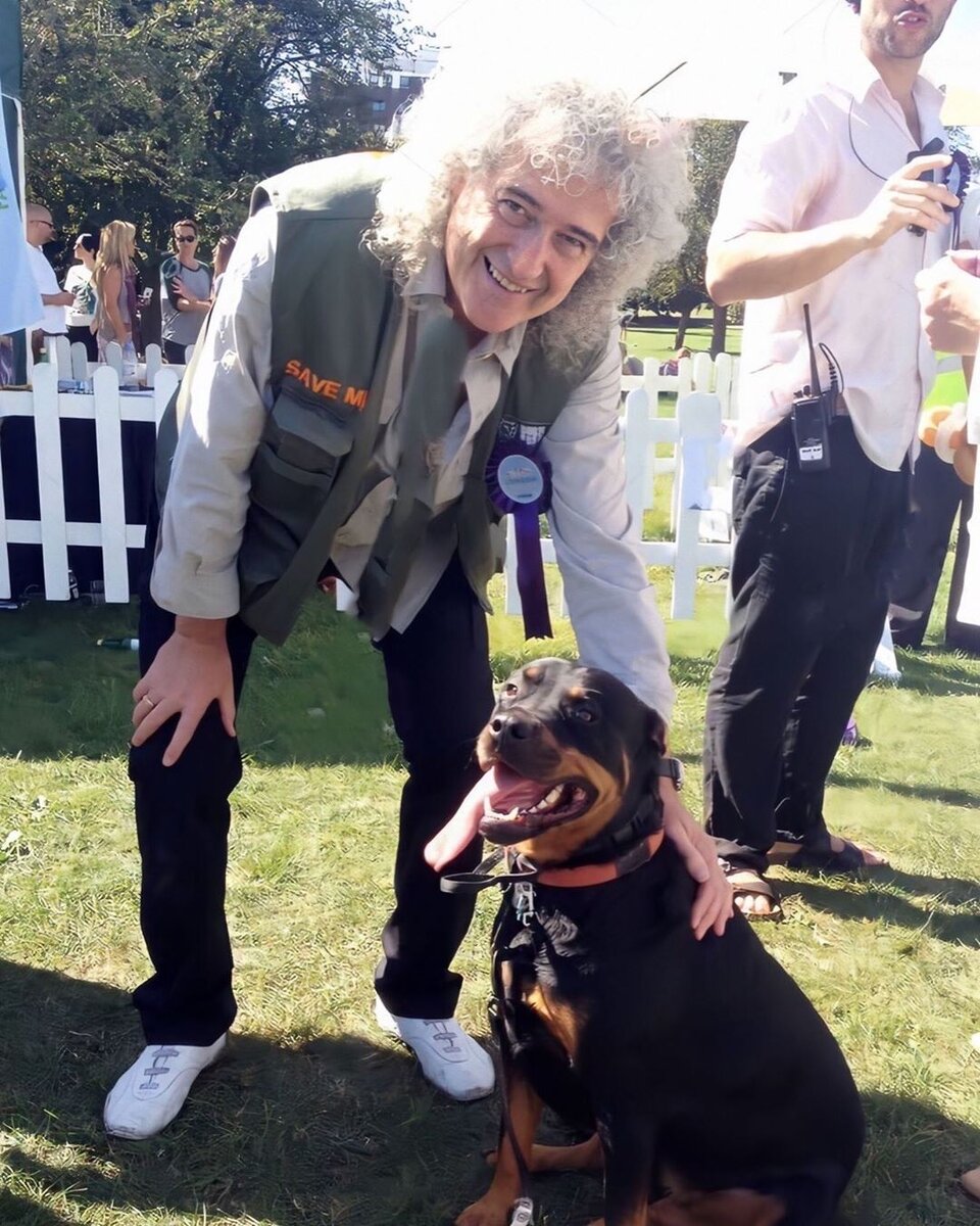 Деятельность благотворительного фонда "Save me"