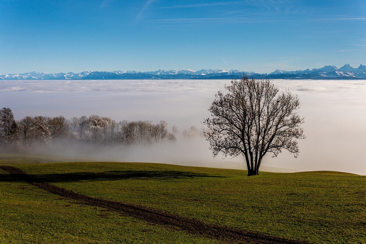 Фото взято из открытых источников