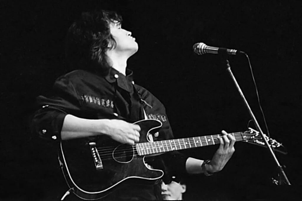 Фото взято из открытого источника Яндекс Картинки