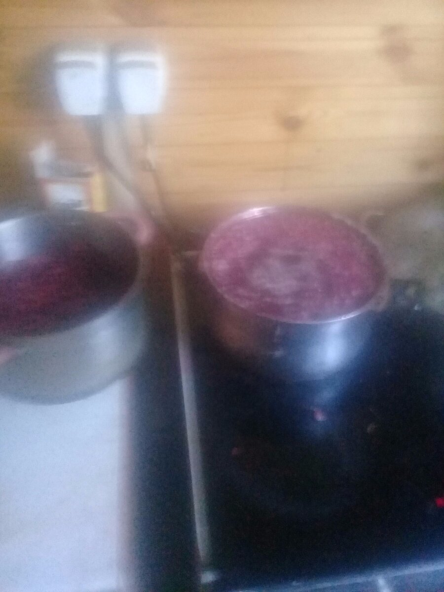 В кастрюлю с водой вместилась только часть смородины