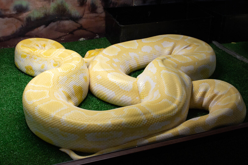 Фото из личного архива