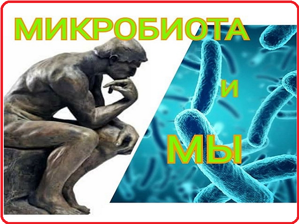 Бактерии и мы