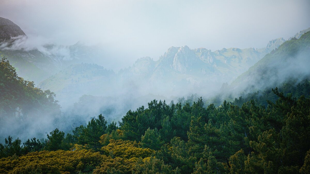 Автор иллюстрации: kien virak с сайта Pixabay