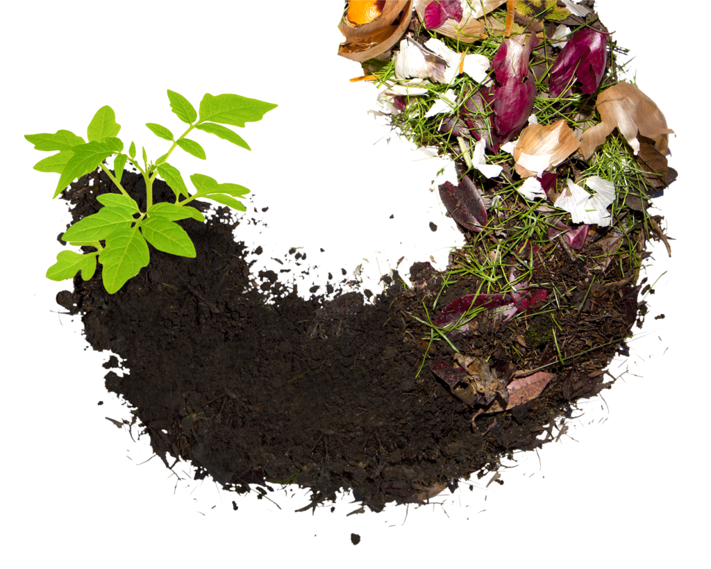 Гумус 1,6. Compost биодеградация. Компостирование органических отходов. Гумус и компост.