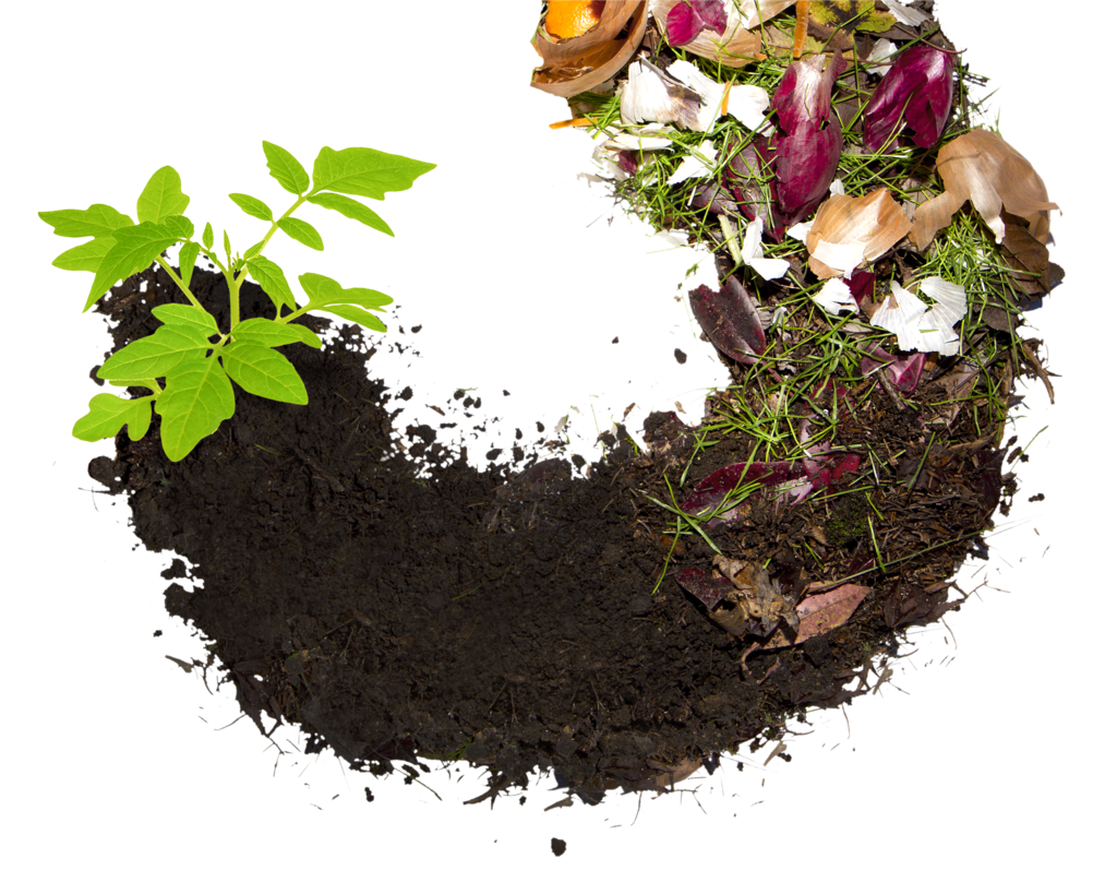 Органические растения. Composting. Compost биодеградация. Органические удобрения компост. Компостирование пищевых отходов.