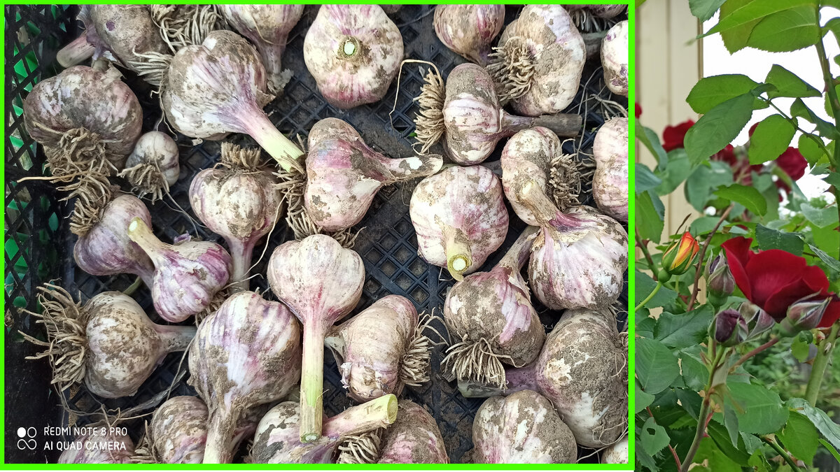 Подписывайтесь на канал, дорогие читатели