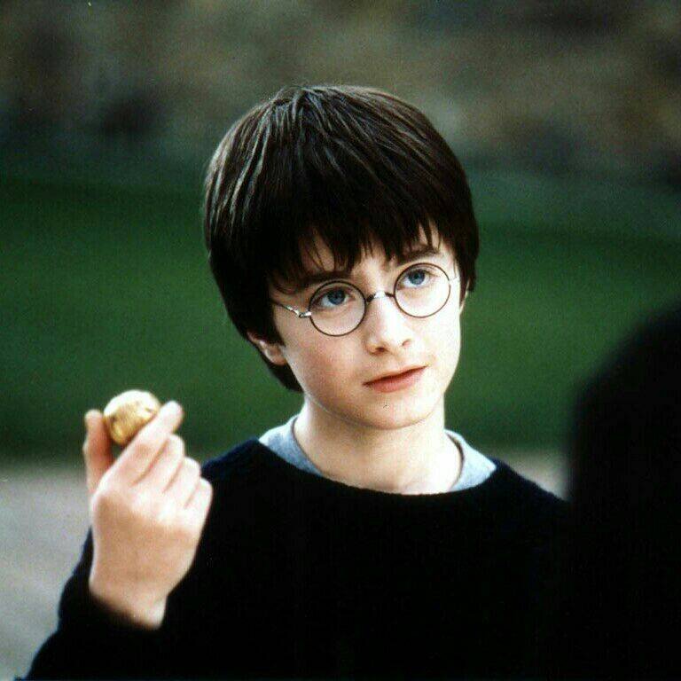 "Гарри Поттер и Философский камень".