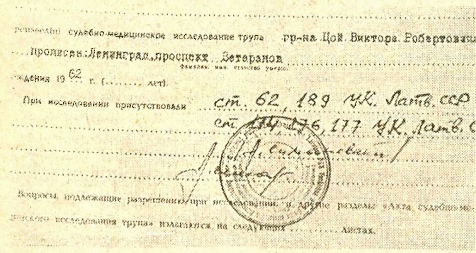 фото из открытого источника