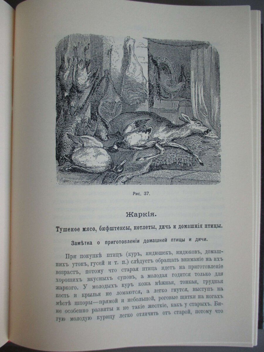 Поваренная книга: Руководство для приготовления простых, тонких и  вегетарианских обедов. 1902 г. 948 с. | Bibliard.ru | Дзен