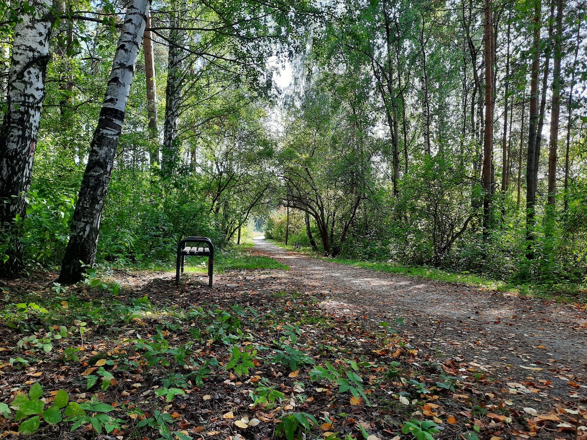 1 сентября. Екатеринбург.