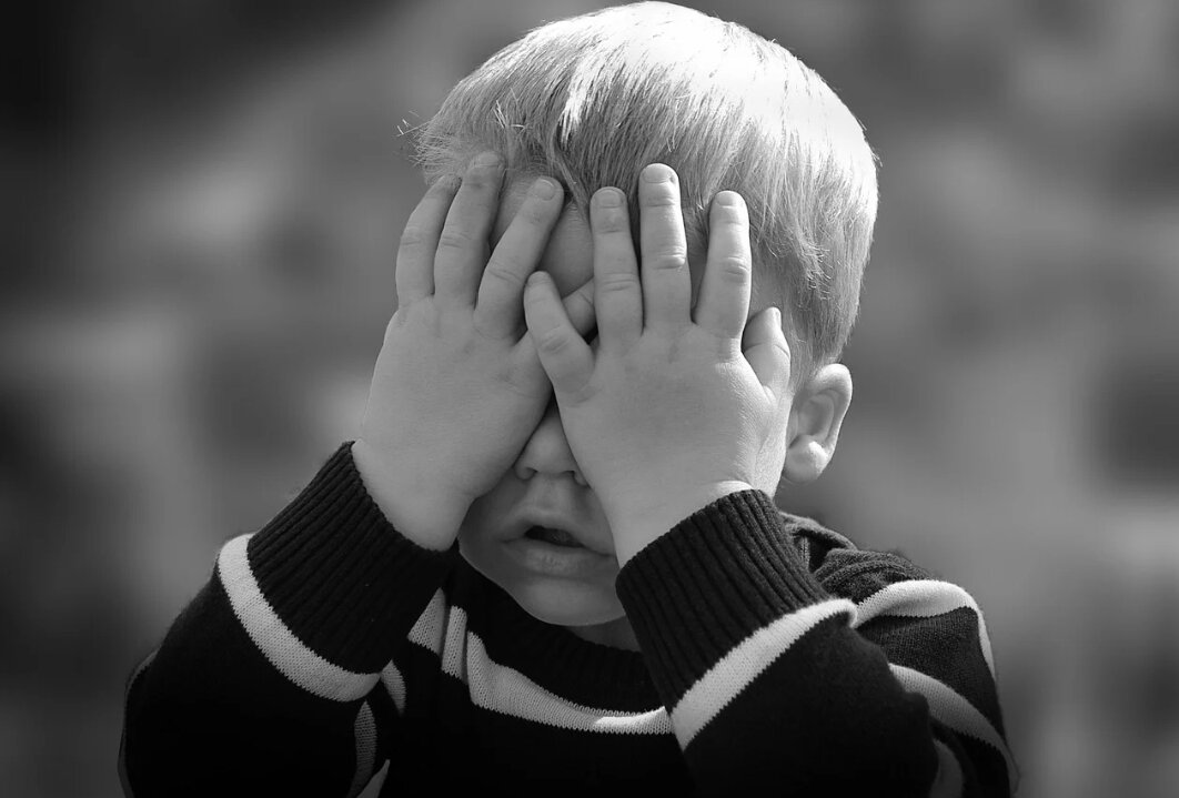 Фото с сайта pixabay.com 