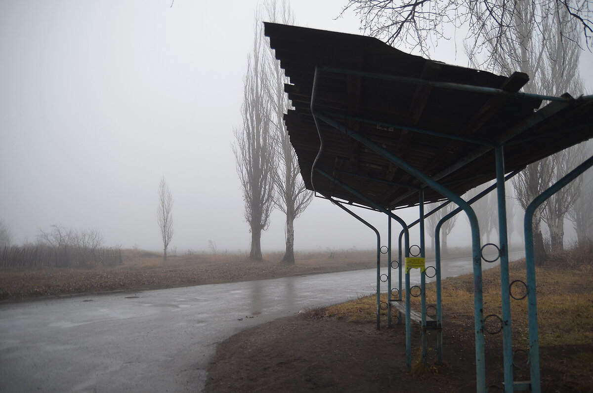 Nikon D7000+Tamron 17-50mm f/2.8