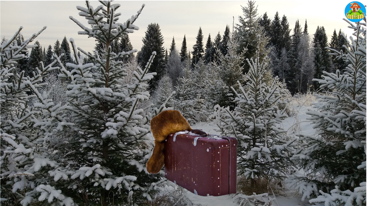 Подпишитесь на канал и поставьте лайк, это поддержка молодому каналу, благодарю вас заранее!