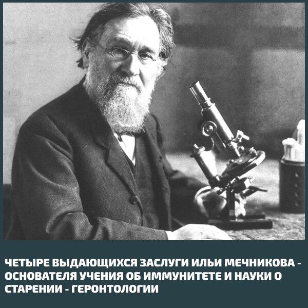 изображение из сети интернет и в свободном доступе