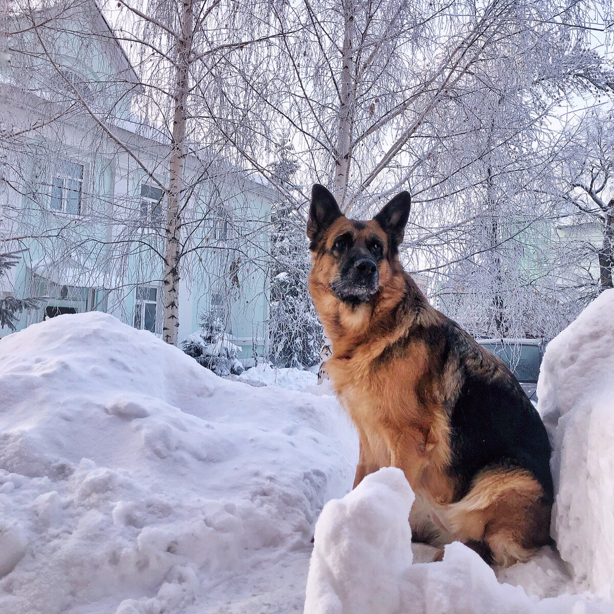 Тут уже все хорошо :)