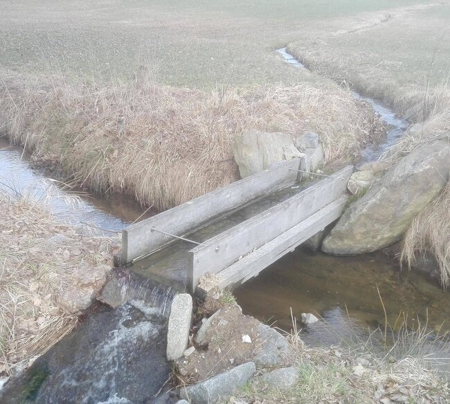 Фото взято из сети
