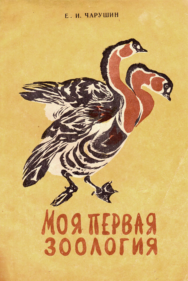 Чарушин моя первая зоология. Чарушин. Моя первая зоология о каких птицах. Моя первая зоология про птиц. Моя первая зоология про птиц.