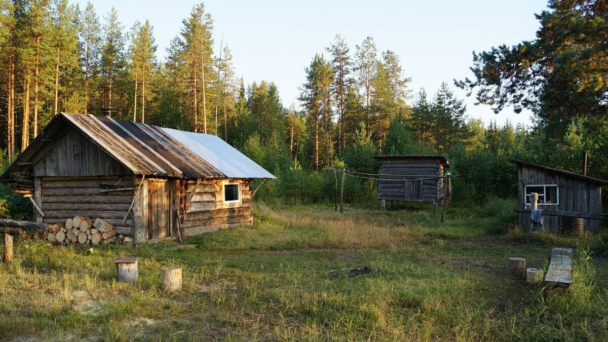 Весь следующий день, я занимался рыбой.