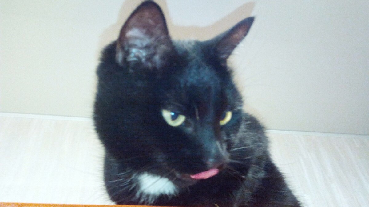 облизываемся