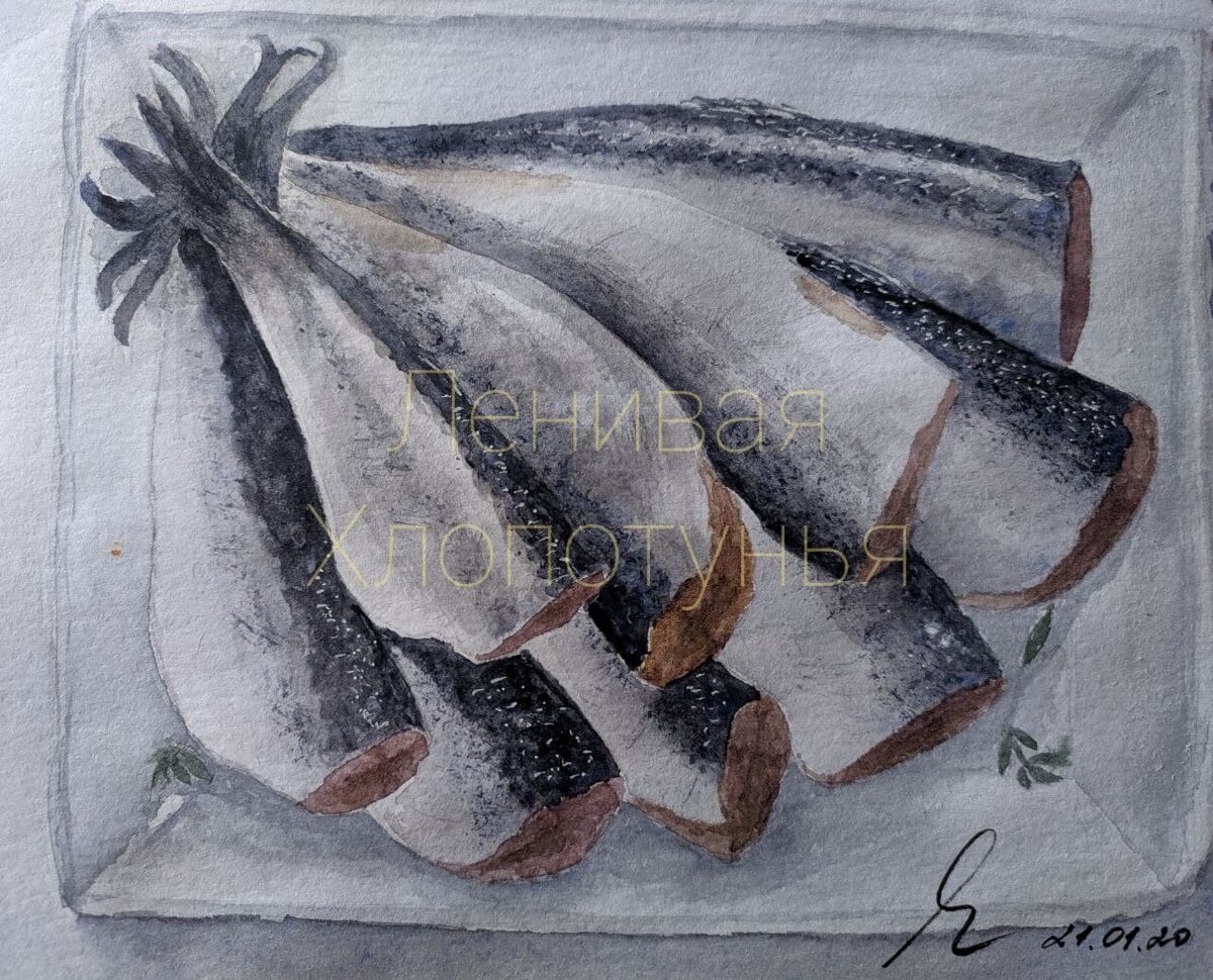 Это скумбрия - воспоминания о Средиземноморье. Рисунок автора