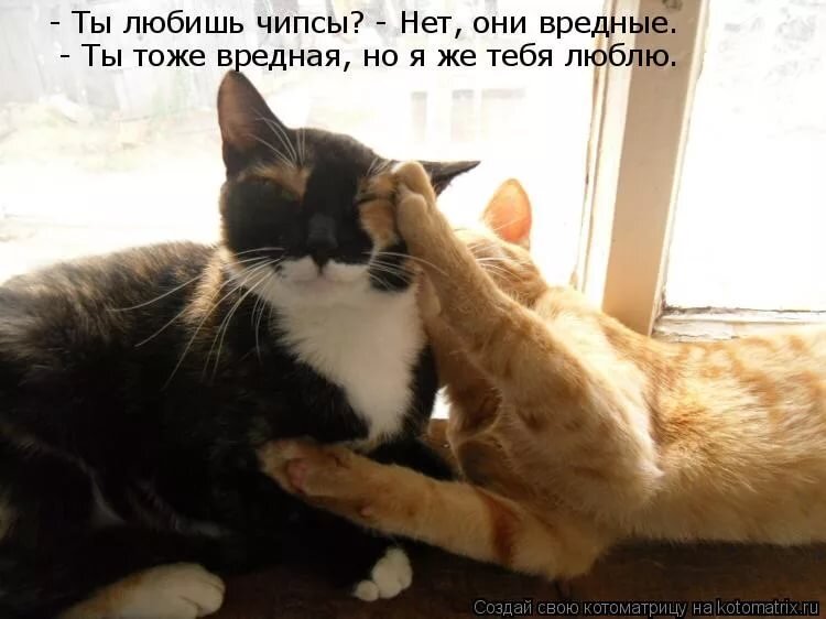 Люблю тебя моя вредина картинки
