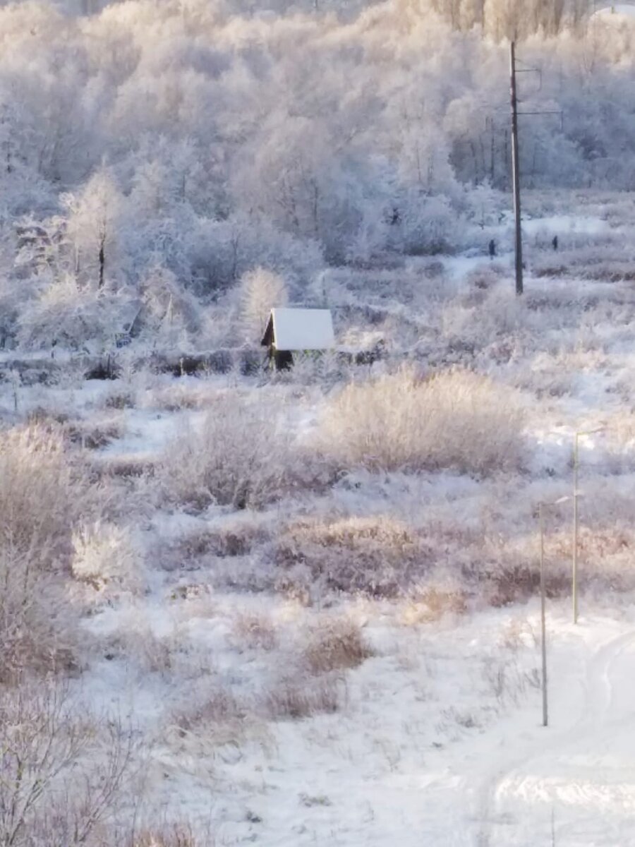 Ещё одно фото