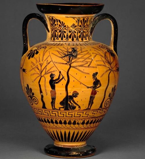 Чем отличаются оливки от маслин? Зачем их красят в чёрный цвет? Какие ...