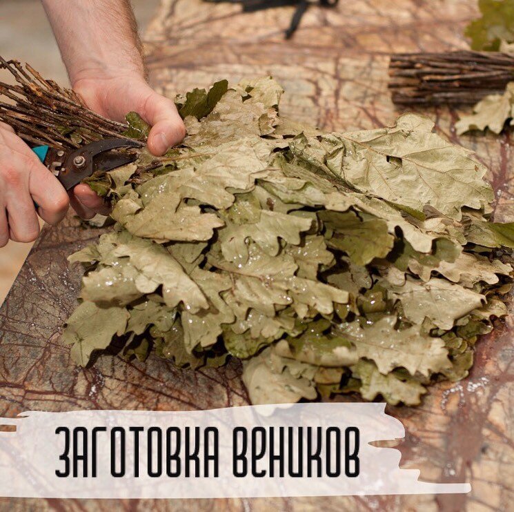 В бане веник - дороже денег!🌿