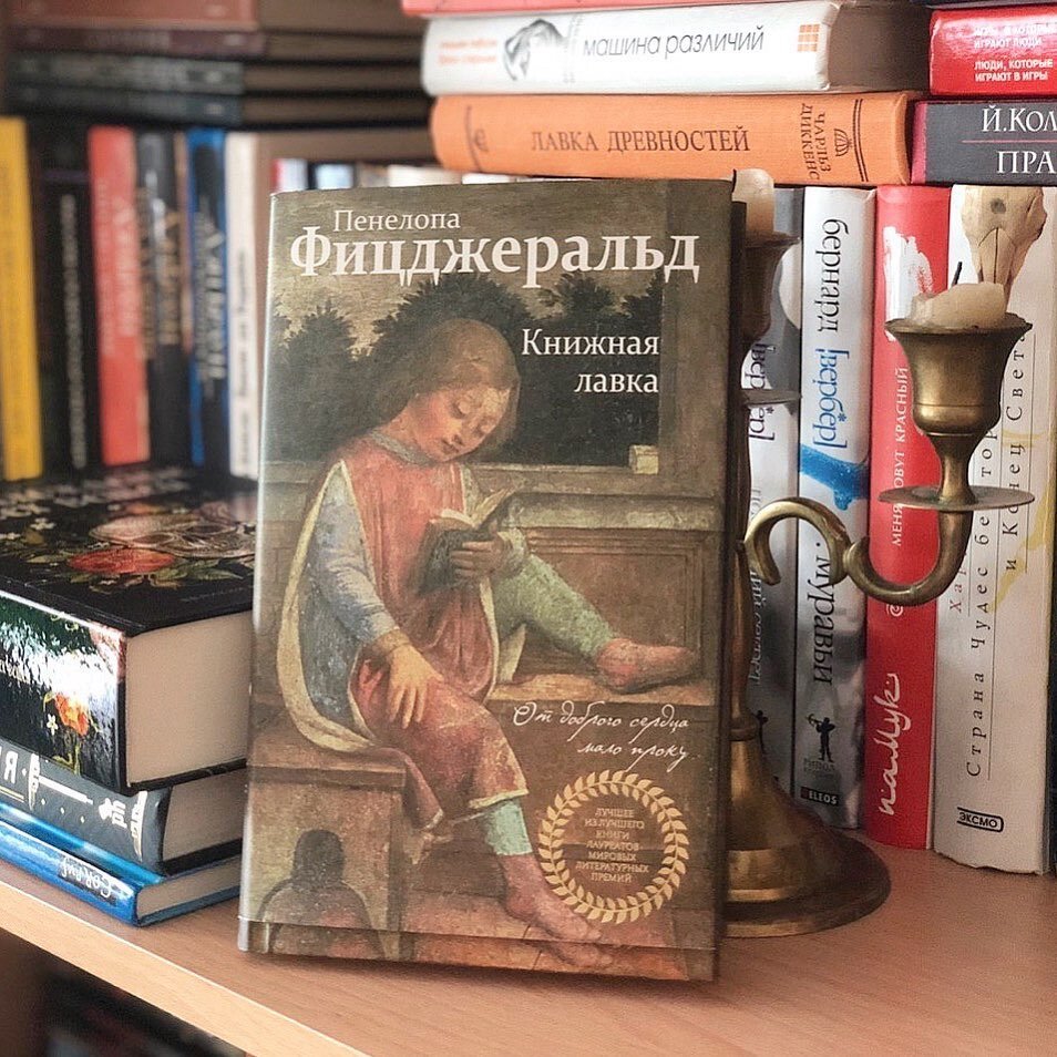 Мечта книголюба: 5 необычных романов о книгах и литературе | Лабиринт | Дзен