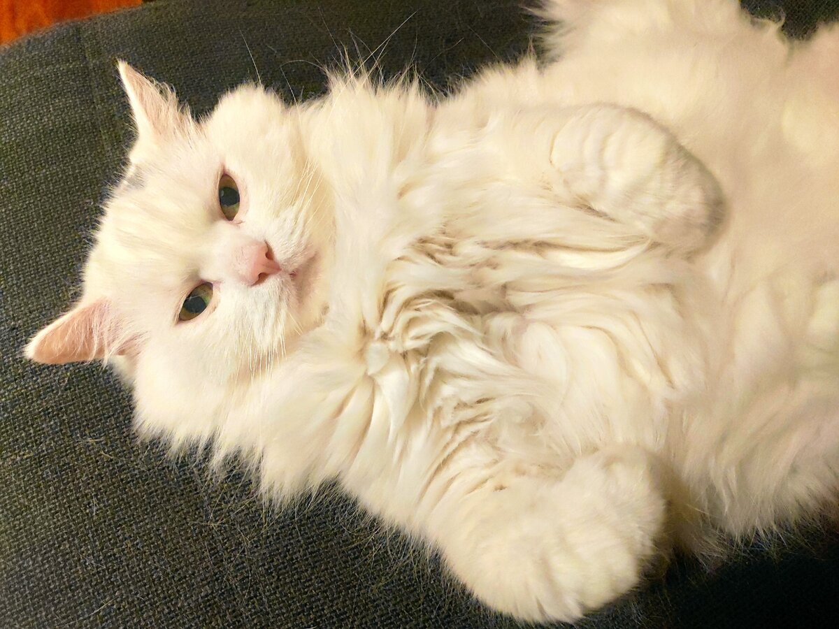 Фото автора 