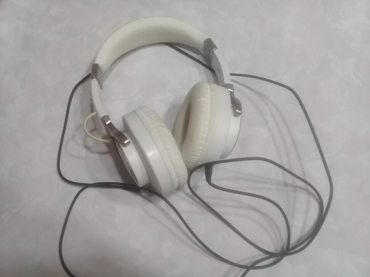 Фото из личного архива.