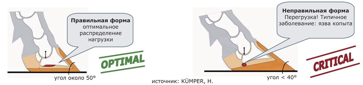 Фото из свободного источника.