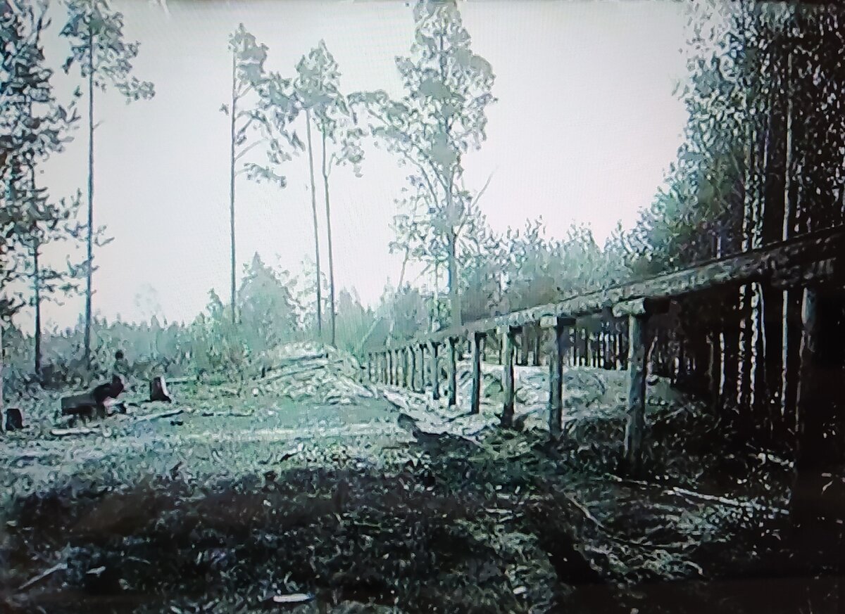 Воздушная железная дорога