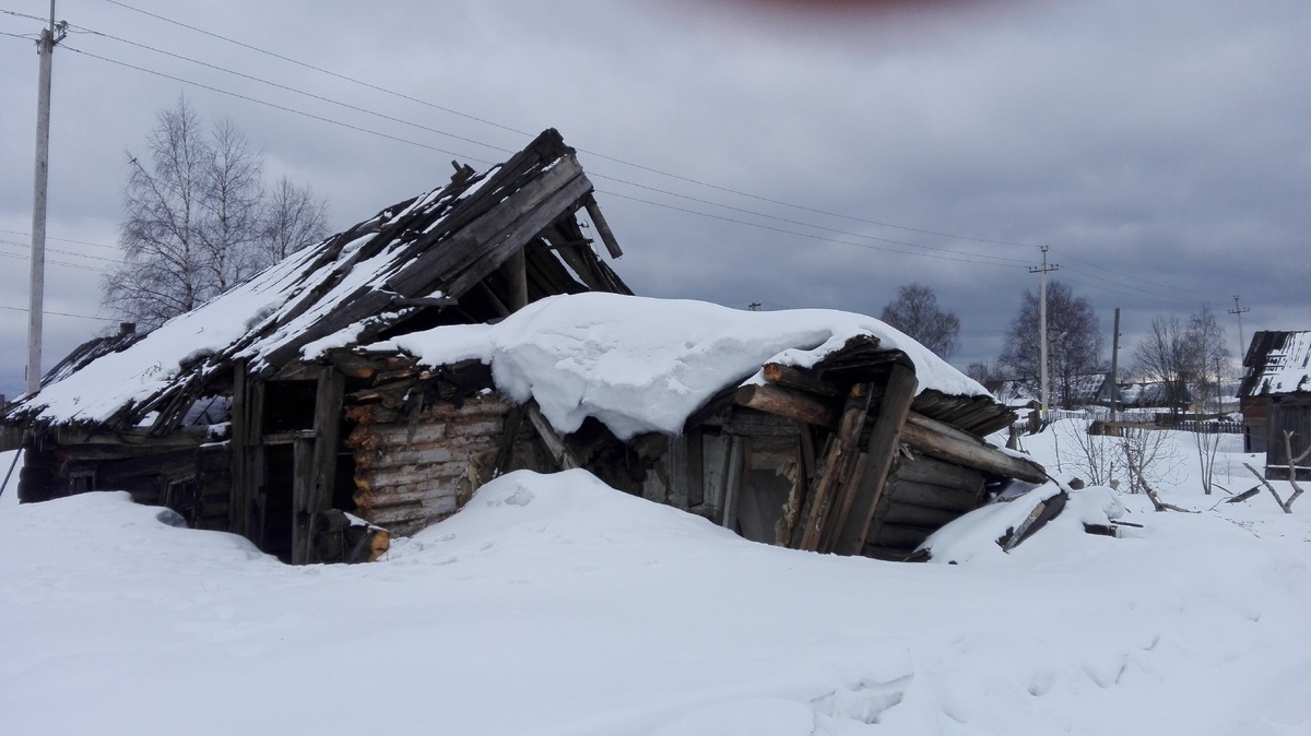 Так выглядел мой участок зимой