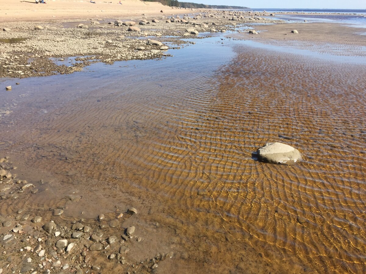 Финский залив