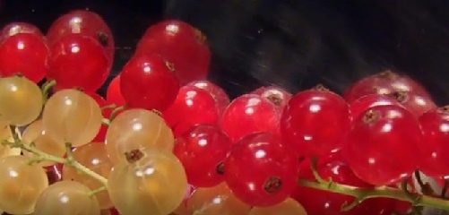 Красная и белая смородина