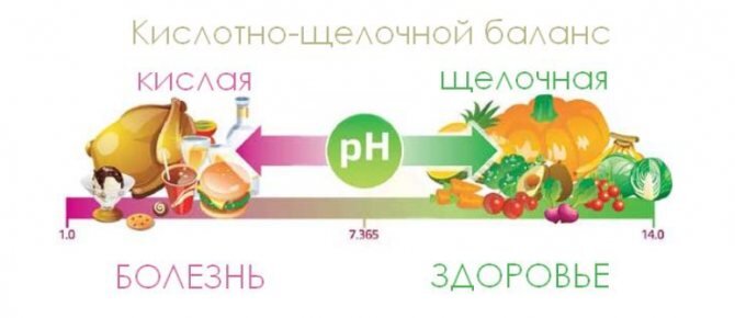 Изображение взято из Яндекс. Картинок