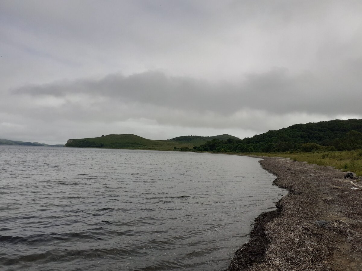 КОСА  НАЗИМОВА конец августа 2020г.