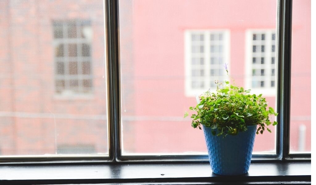 Фото из официального источника