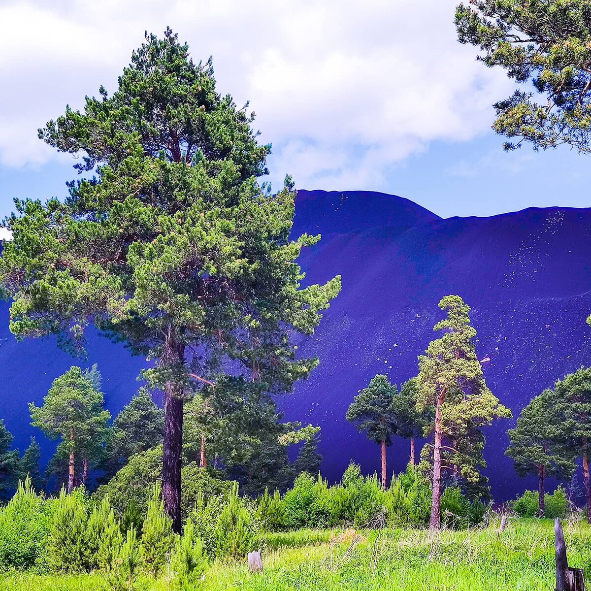 Фото Лианы Романовой