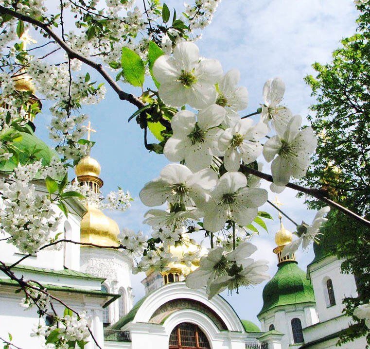 Храм Церковь монастырь Лавра цветы тишина