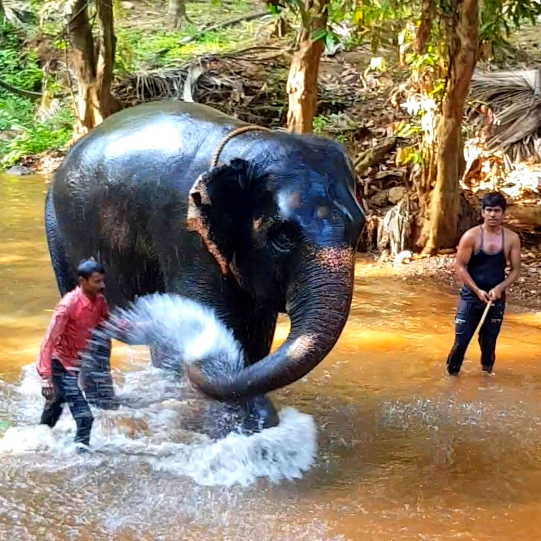 Фото из моего видео