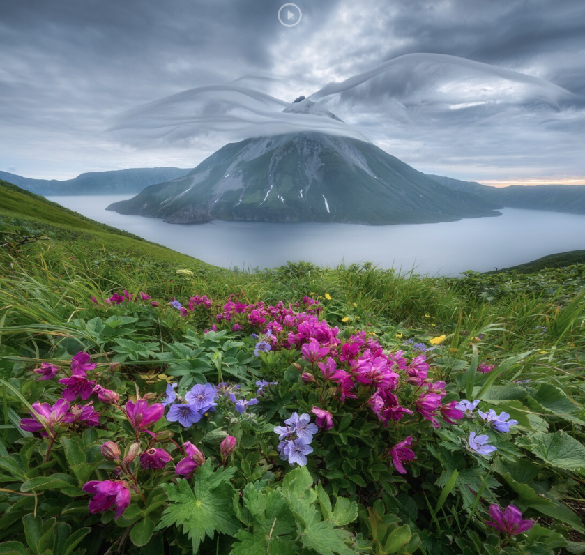 2 место "Цветы и крылья", Александр Кукринов, Курилы, остров Онекотан