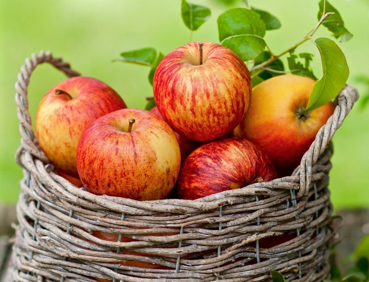 Британский яблочный пирог с чеддером. Классика английской кухни 🍎 👑 🍏 |  Правильно, готовим! | Дзен