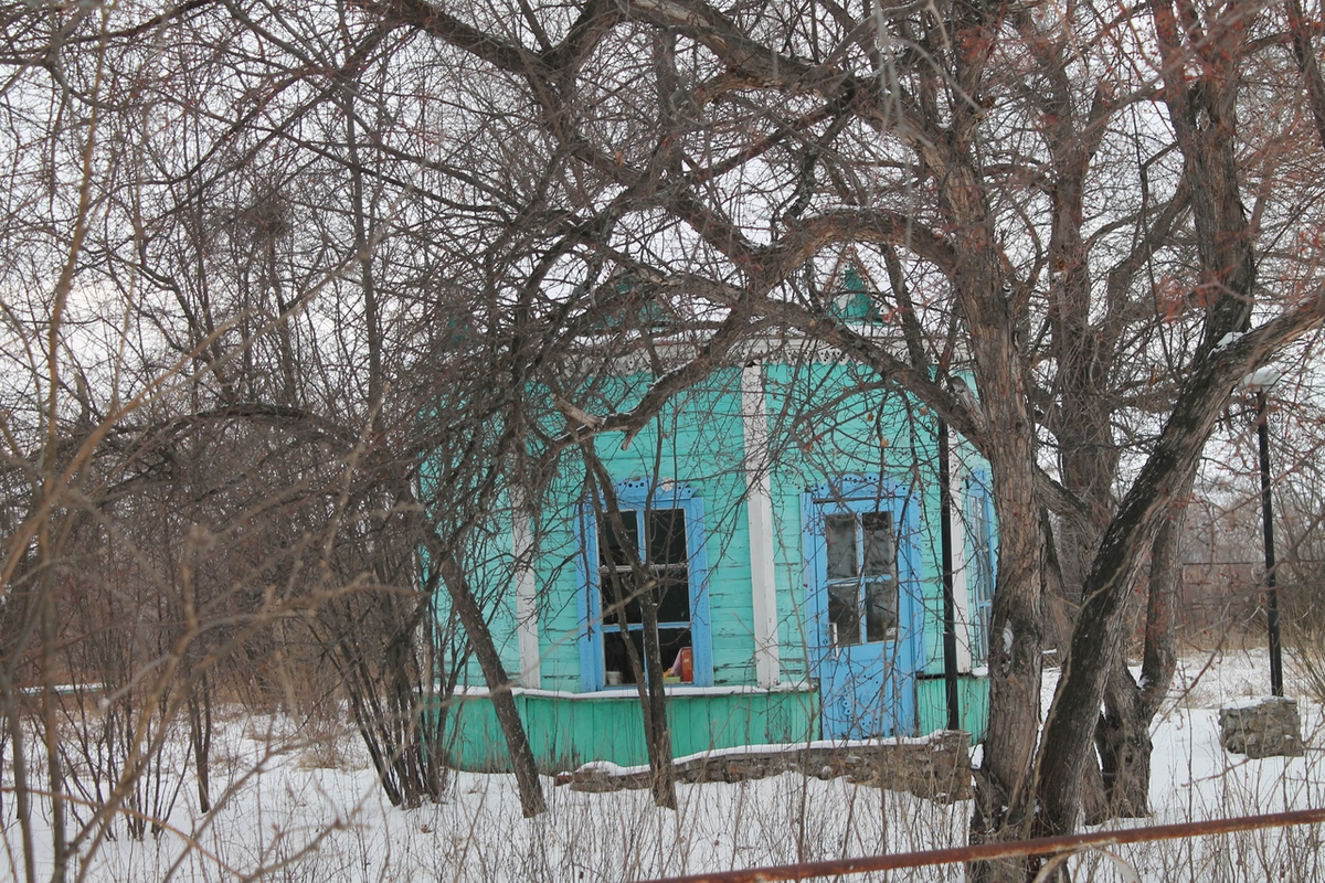 Загородная дача Яушевых | Записки провинциалки | Дзен