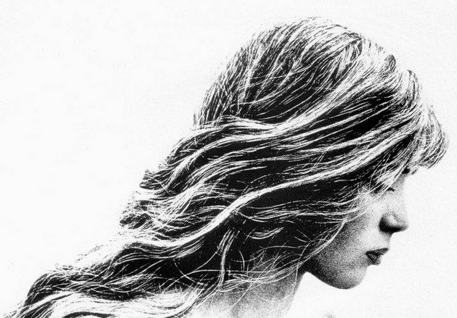 Так выглядит обложка альбома "Цветы среди Цветов"