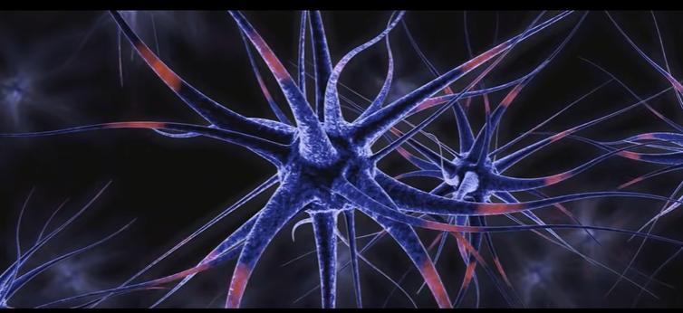 Волновые процессы в мозге 