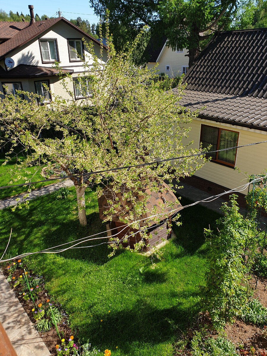 Вт такой замечательный вид с моего балкона весной