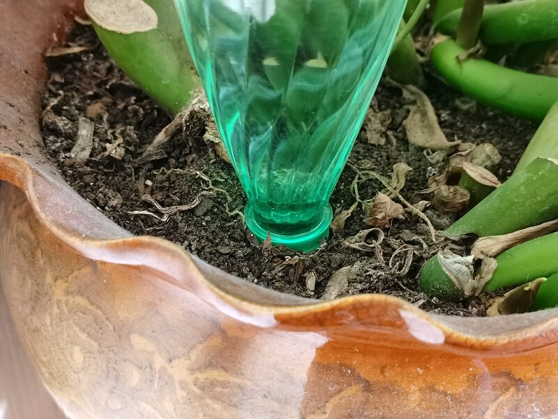 Капельный полив из бутылок